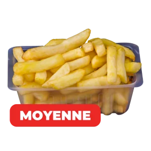 Barquette de frites moyenne Kebab Land's